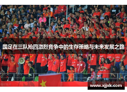 国足在三队抢四激烈竞争中的生存策略与未来发展之路