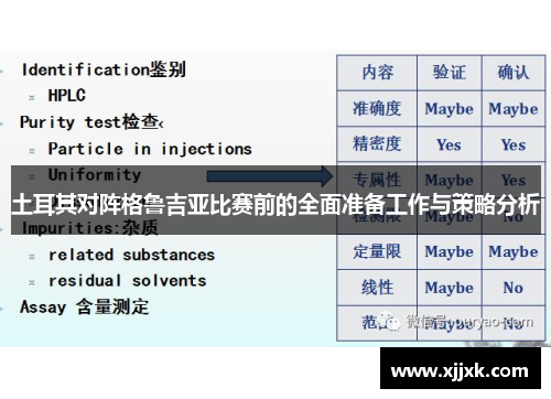 土耳其对阵格鲁吉亚比赛前的全面准备工作与策略分析